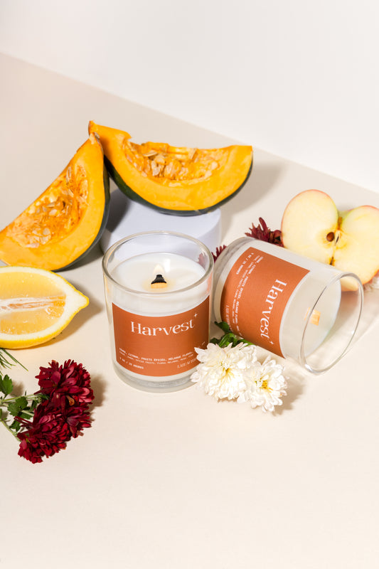 Bougie Harvest | Cèdre, Citron, Fruits Épicés, Mélange Floral, Musc, Pin